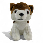 Adorable Sitting Husky Plush Toy