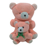 Cute Mother-Cub Teddy Set