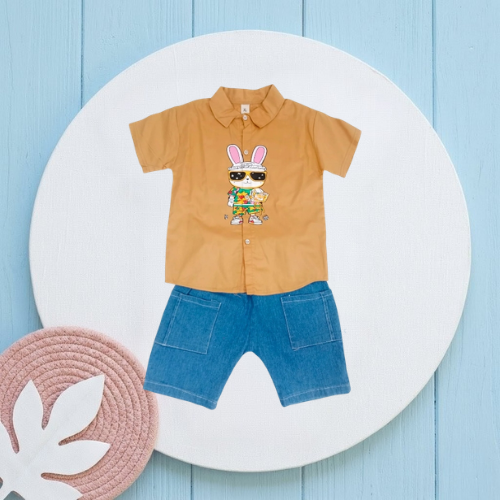 Boy Rabbit T-Shirt & Nicker (Brown)