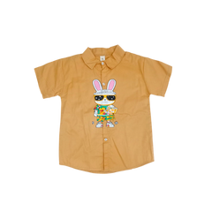 Boy Rabbit T-Shirt & Nicker (Brown)