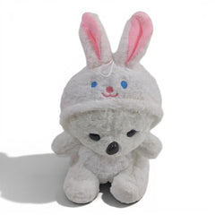 Koala in Rabbit Hoodie