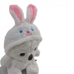 Koala in Rabbit Hoodie
