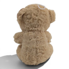 Soft Brown Bear with Bow
