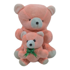 Cute Mother-Cub Teddy Set